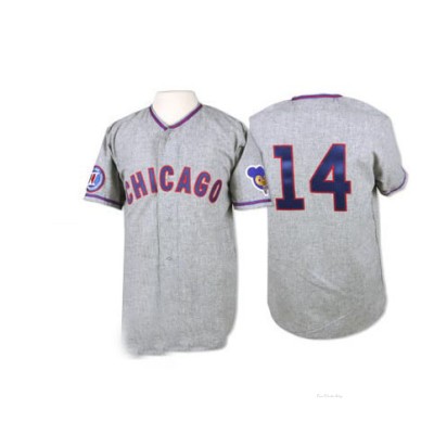 Men's Ernie Banks Chicago Cubs Authentic Grey 1968 Throwback Jersey