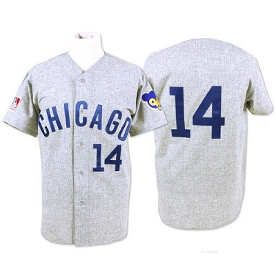 Men's Ernie Banks Chicago Cubs Authentic Grey Throwback Jersey