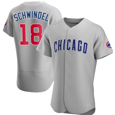 Men's Frank Schwindel Chicago Cubs Authentic Gray Road Jersey