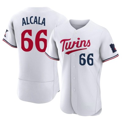 Men's Jorge Alcala Minnesota Twins Authentic White Home Jersey