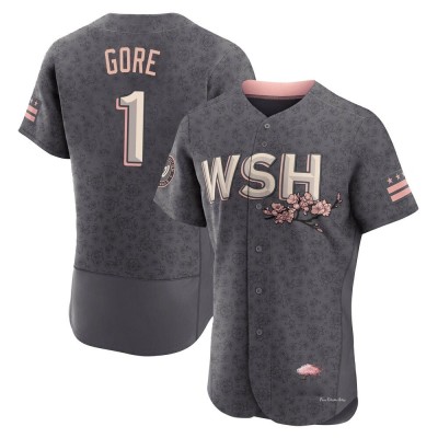 Men's MacKenzie Gore Washington Nationals Authentic Gray 2022 City Connect Jersey