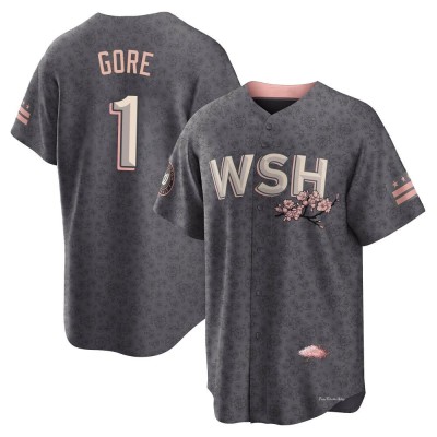 Men's MacKenzie Gore Washington Nationals Replica Gray 2022 City Connect Jersey