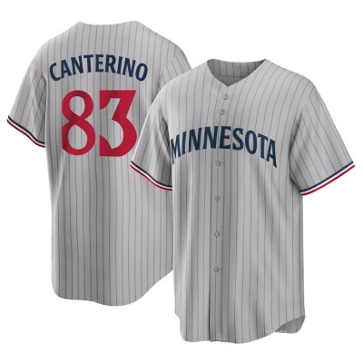 Men's Matt Canterino Minnesota Twins Replica Gray Road Jersey