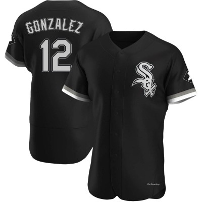 Men's Romy Gonzalez Chicago White Sox Authentic Black Alternate Jersey