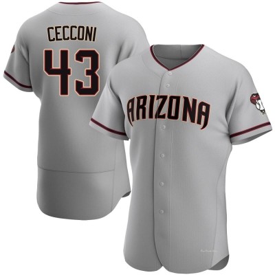 Men's Slade Cecconi Arizona Diamondbacks Authentic Gray Road Jersey