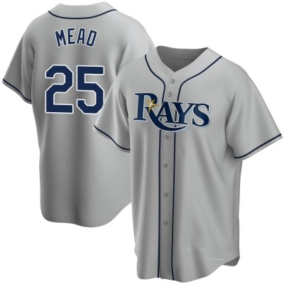 Youth Curtis Mead Tampa Bay Rays Replica Gray Road Jersey