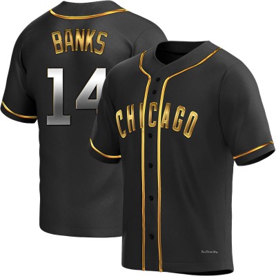 Youth Ernie Banks Chicago Cubs Replica Black Golden Alternate Jersey